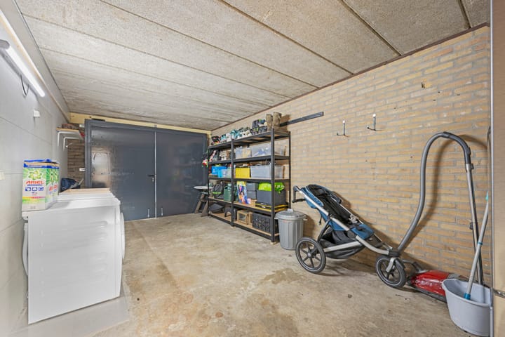 Foto 16 van Akkerdistel 69