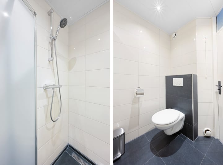 Foto 28 van Akkerdistel 69