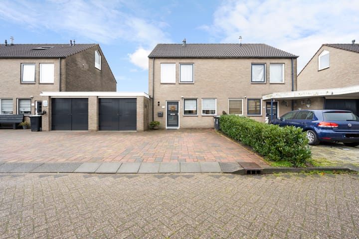 Foto 31 van Akkerdistel 69