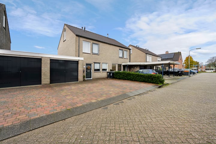 Foto 32 van Akkerdistel 69