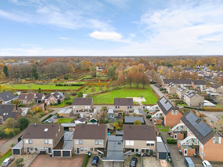 Foto 37 van Akkerdistel 69