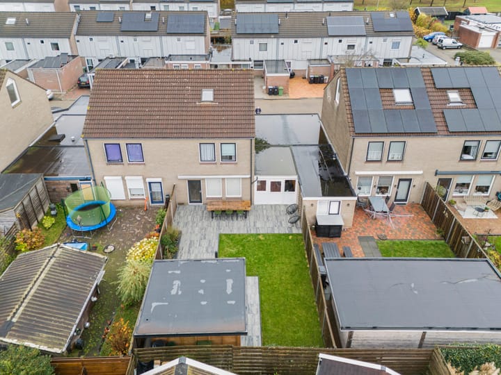 Foto 38 van Akkerdistel 69