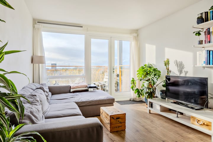 Foto 12 van Kaap Hoorn 72