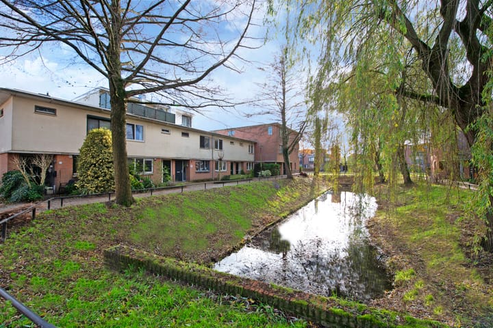 Foto 2 van Longkruid 14