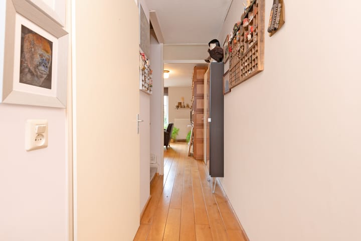 Foto 5 van Longkruid 14