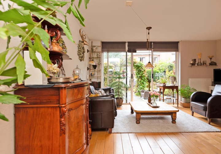 Foto 15 van Longkruid 14