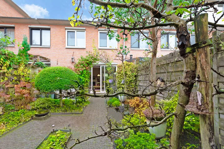 Foto 31 van Longkruid 14