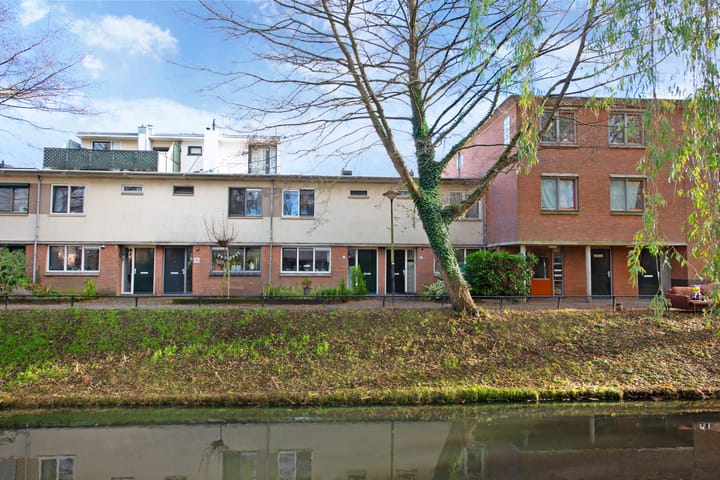 Foto 32 van Longkruid 14