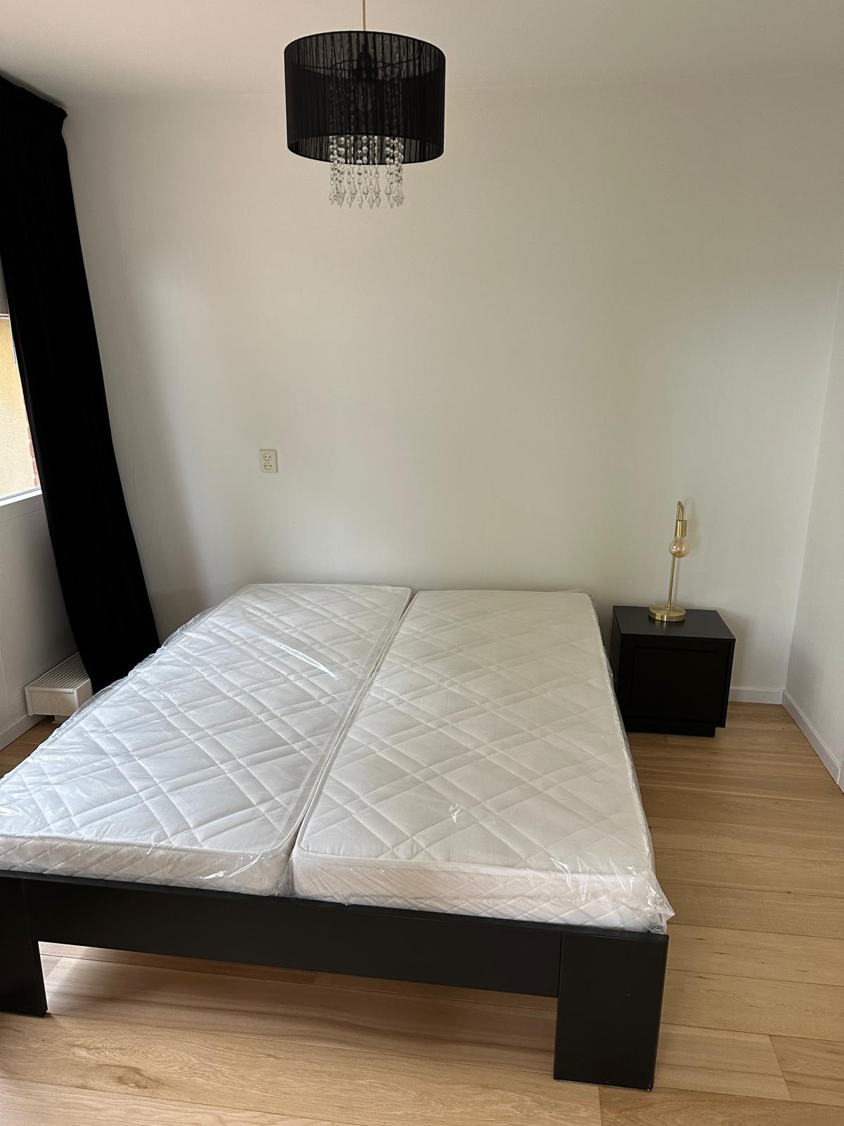 Photo 10 of Plantsoen 84