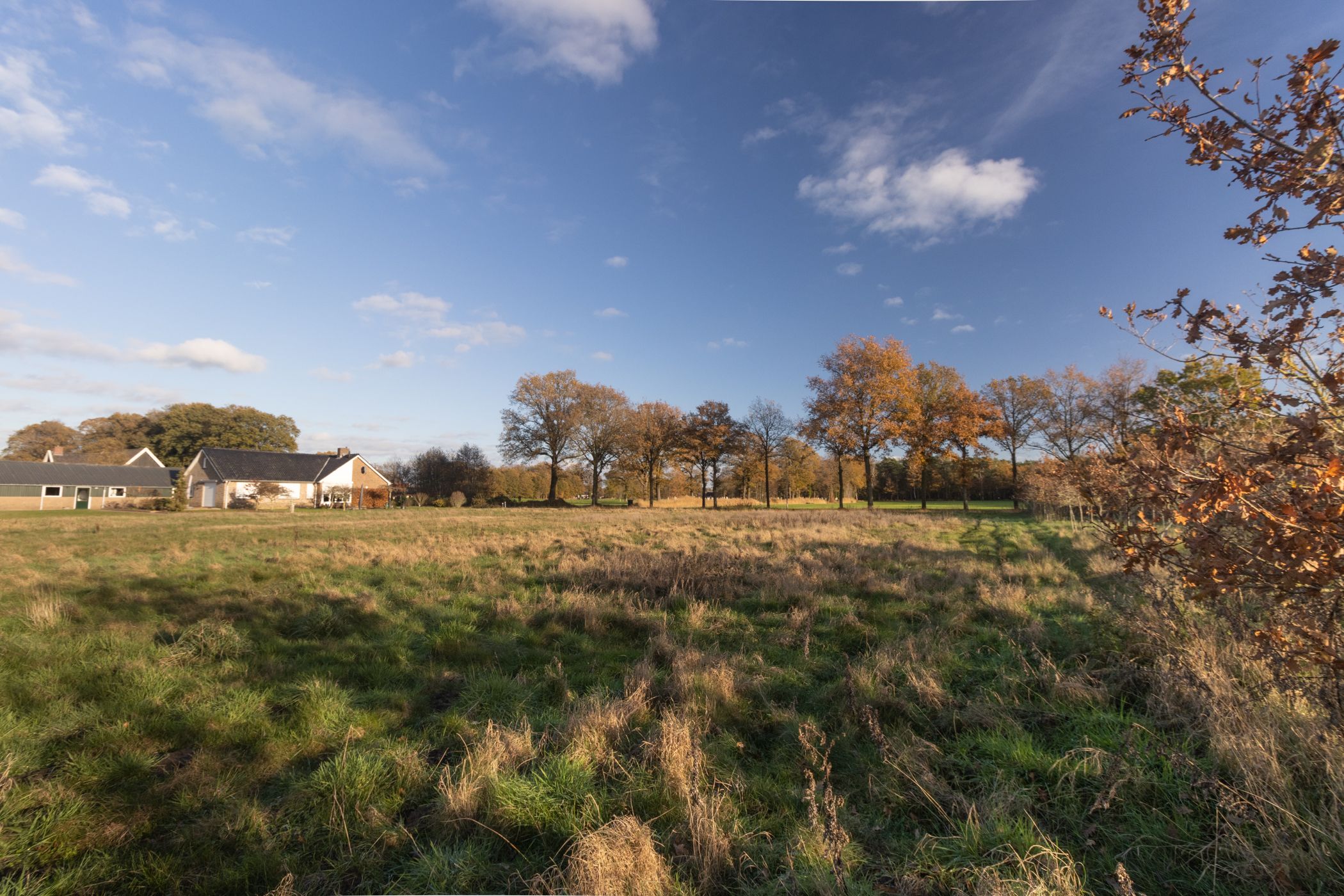 Foto 15 van Rotersweg 38