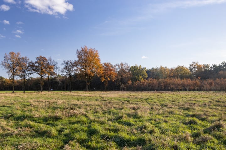 Bekijk foto 15 van Rotersweg 38