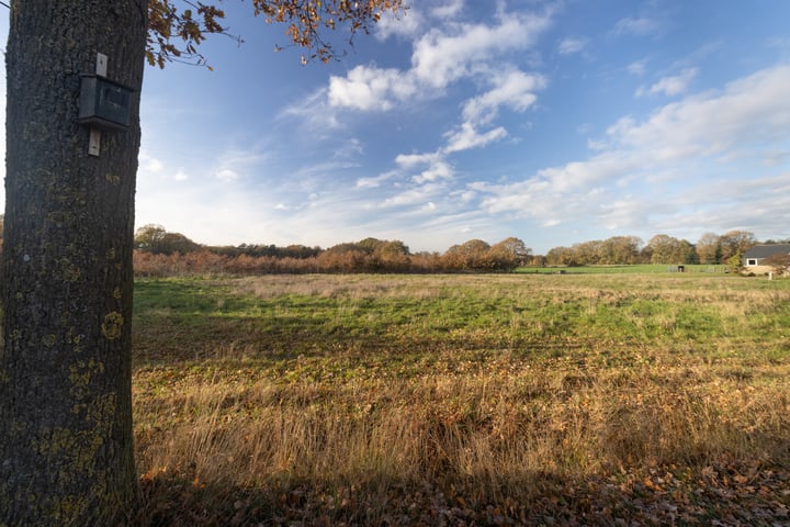 Bekijk foto 16 van Rotersweg 38