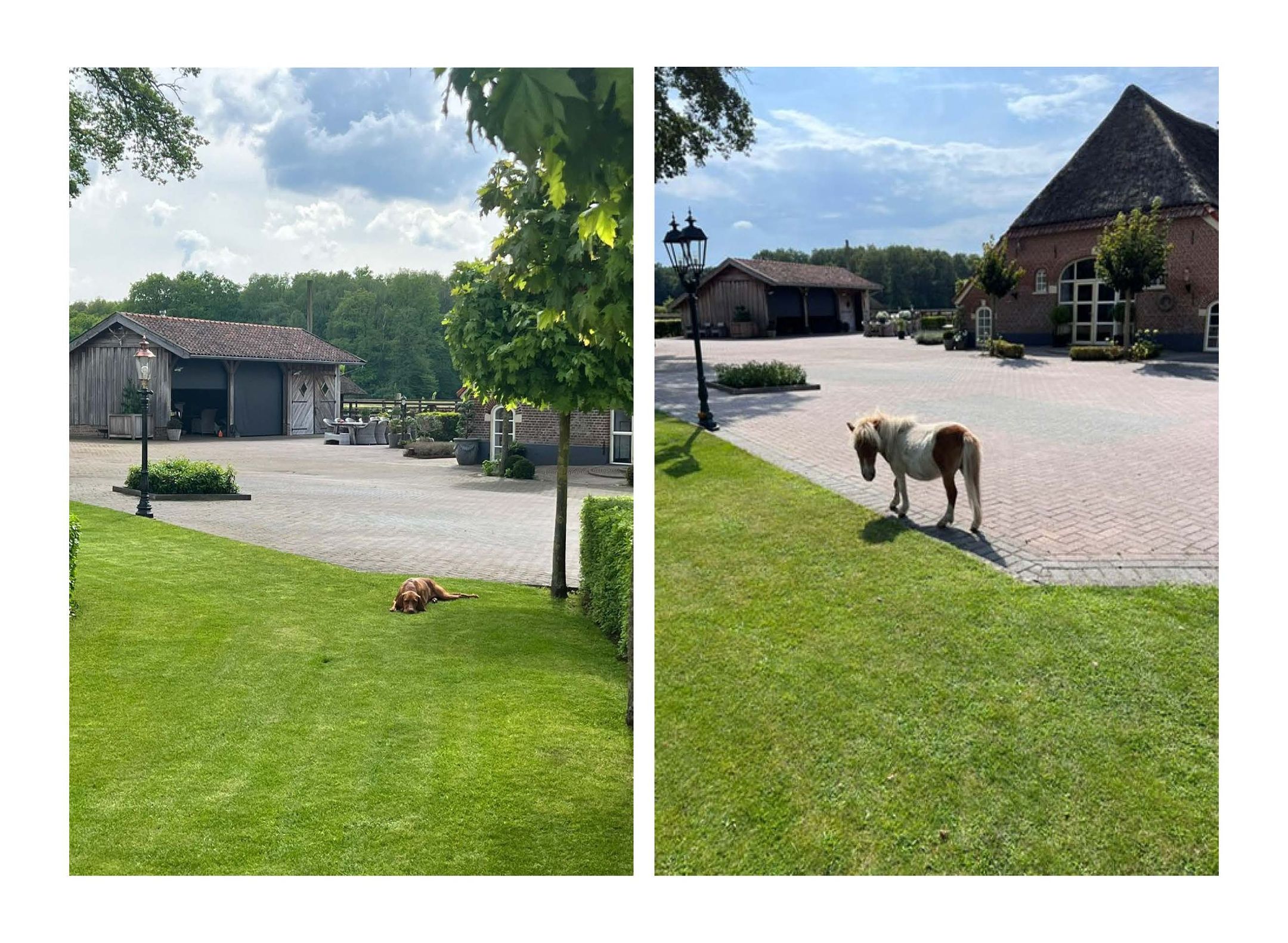 Foto 72 van Tolhutterweg 9