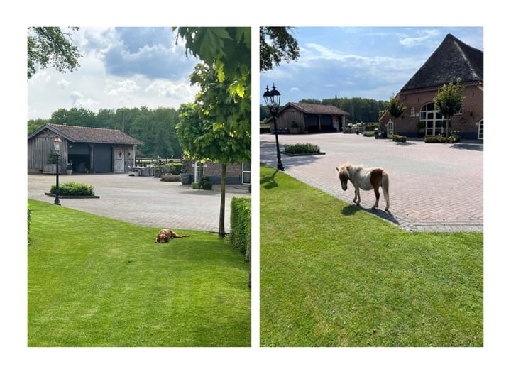 Foto 72 van Tolhutterweg 9