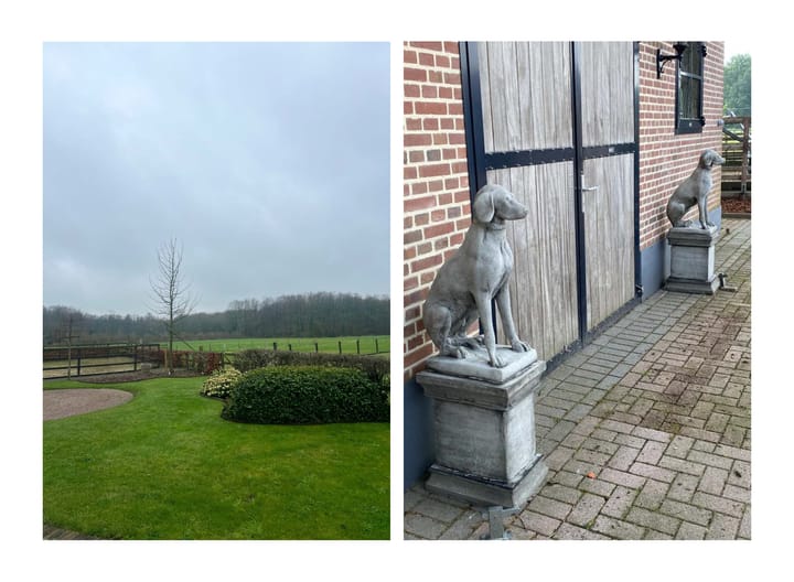 Foto 74 van Tolhutterweg 9