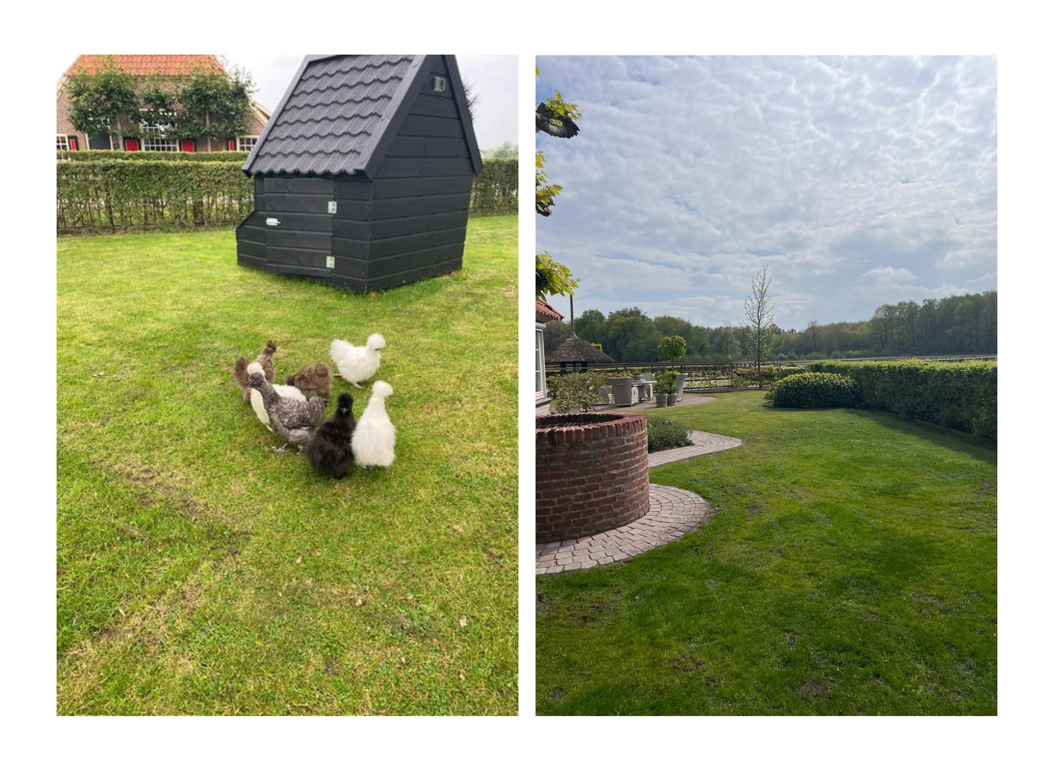 Foto 75 van Tolhutterweg 9