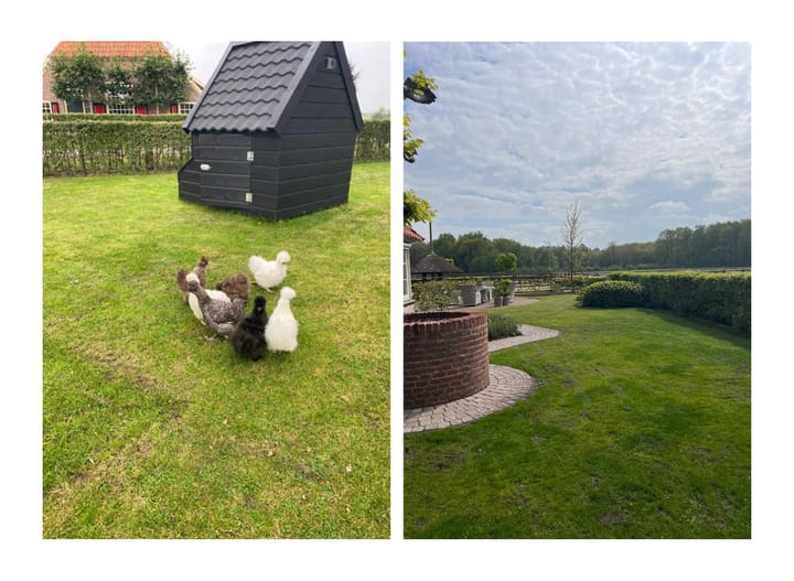 Foto 75 van Tolhutterweg 9