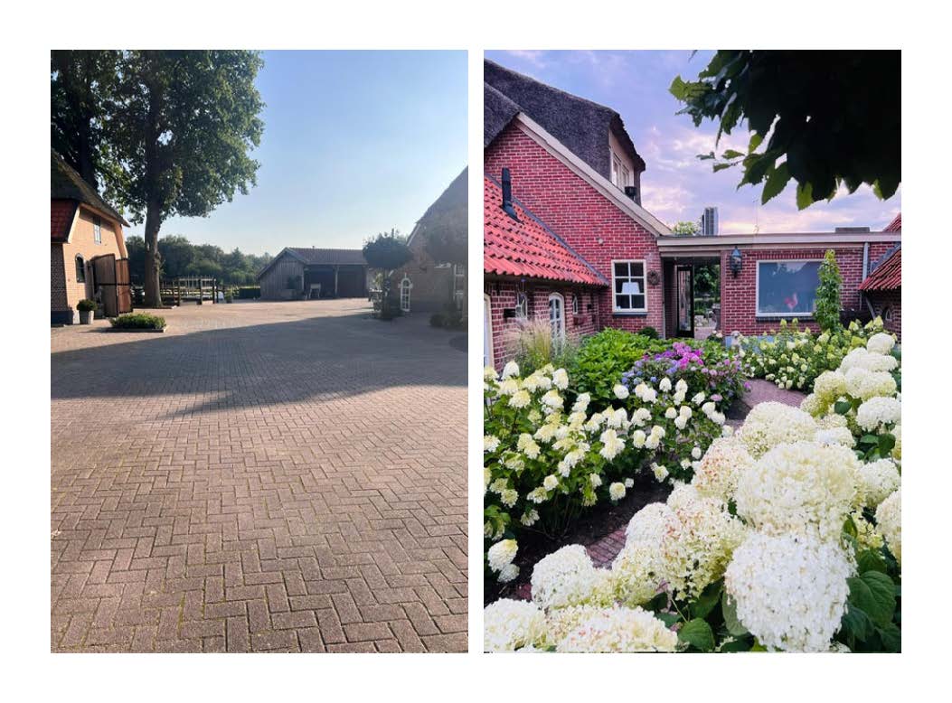 Foto 77 van Tolhutterweg 9