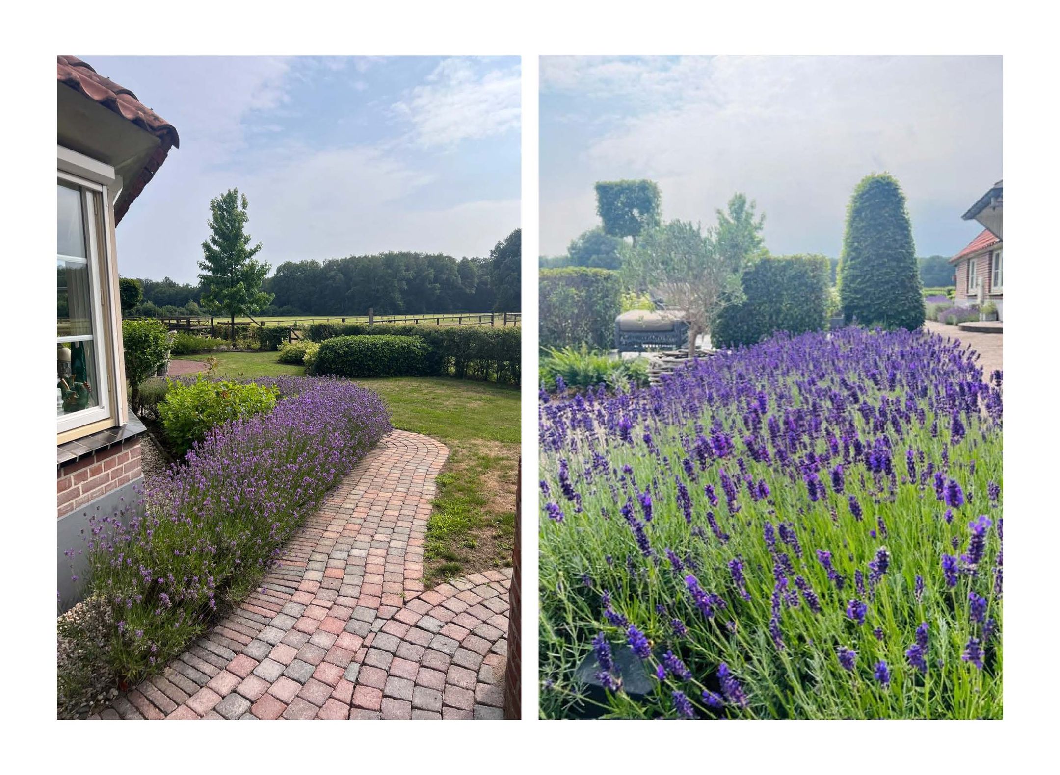 Foto 78 van Tolhutterweg 9