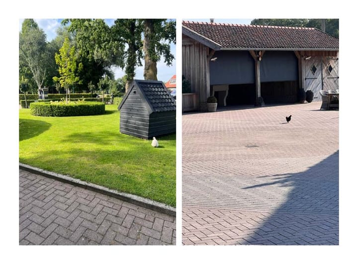 Foto 80 van Tolhutterweg 9