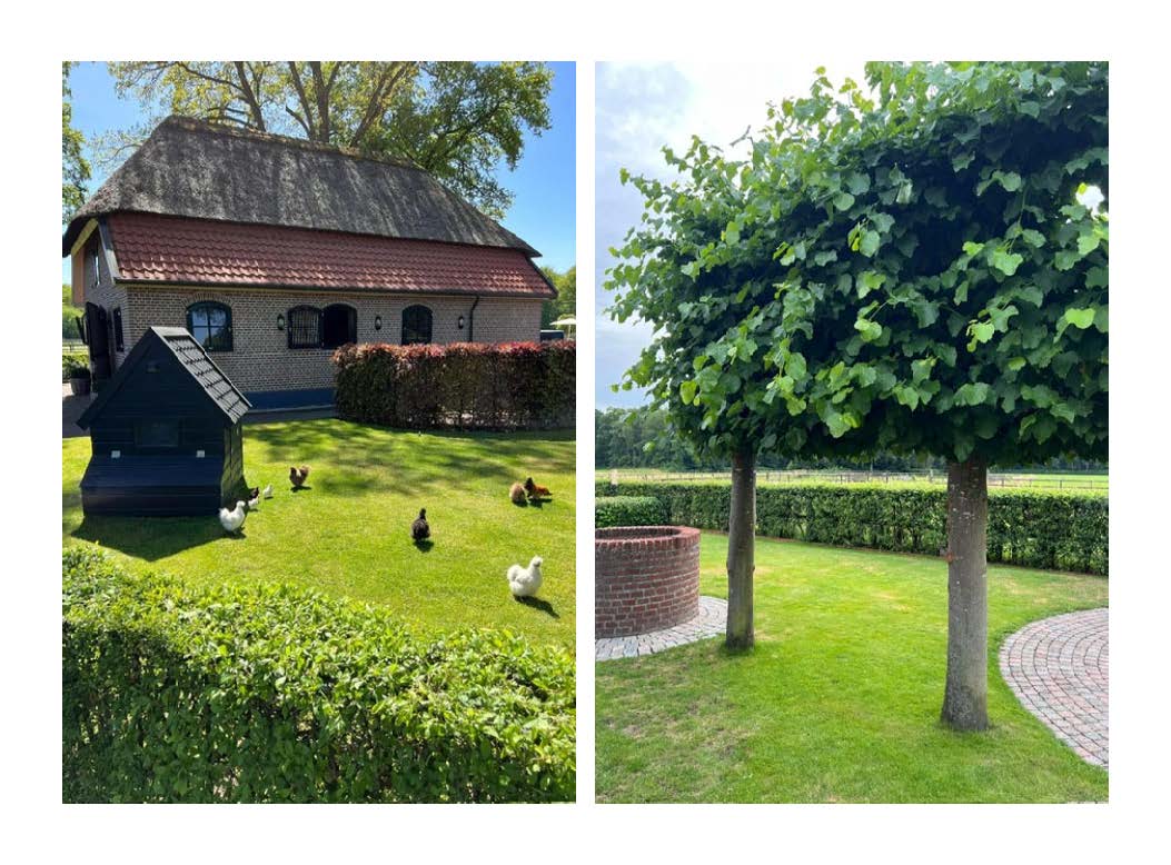 Foto 81 van Tolhutterweg 9