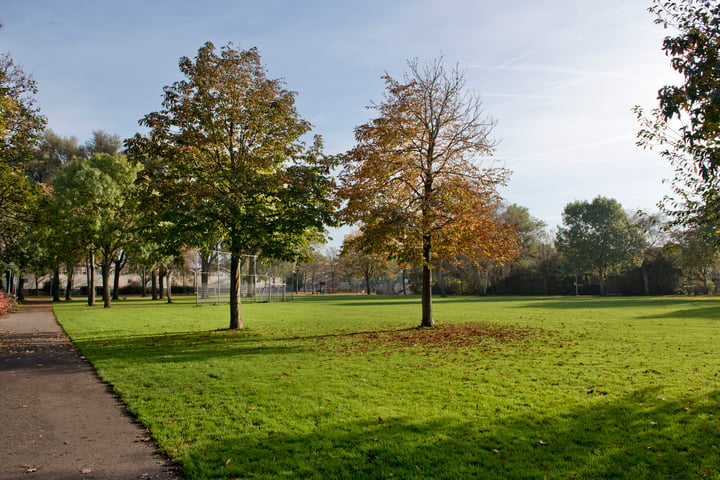 Bekijk foto 27 van Schoterweg 42-ZW