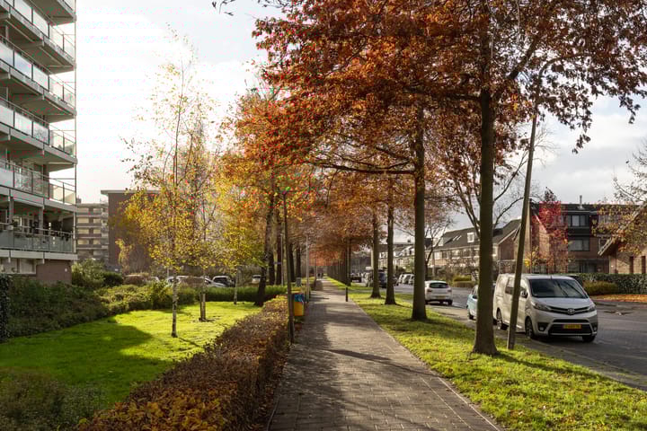 Foto 43 van Wilgenhorst 52