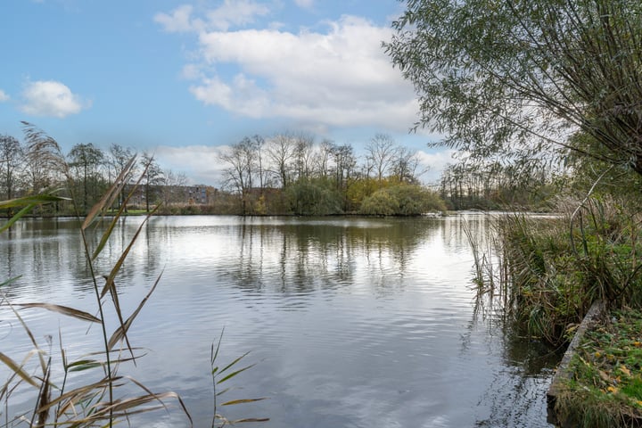 Bekijk foto 46 van Wilgenhorst 52