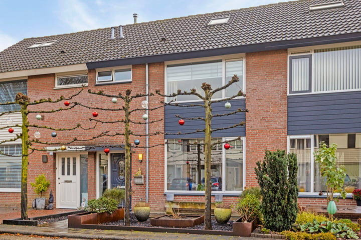 View photo of Saxofoonstraat 134