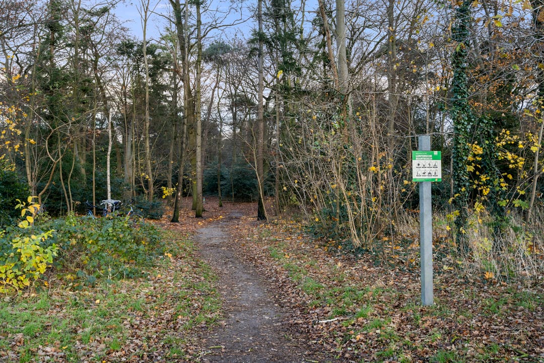 Foto 56 van Boslaan 40