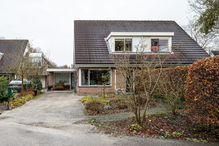 Foto 7 van Boekhors 10