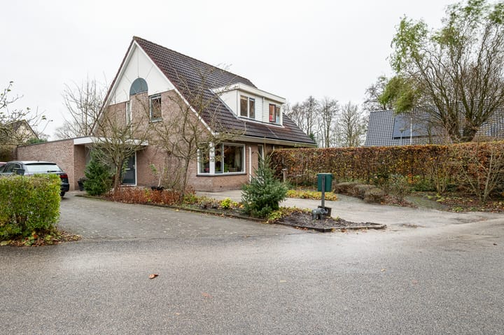 Foto 9 van Boekhors 10