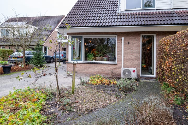 Foto 11 van Boekhors 10