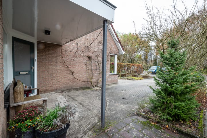 Foto 13 van Boekhors 10