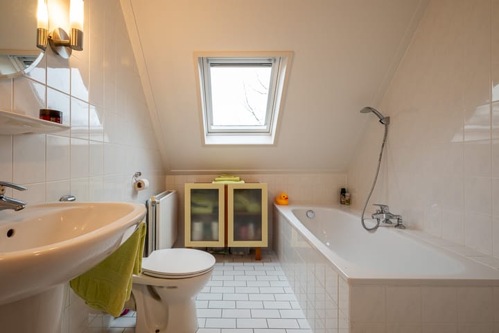 Foto 37 van Boekhors 10