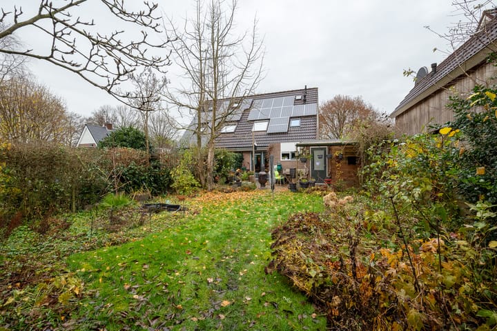 Foto 41 van Boekhors 10