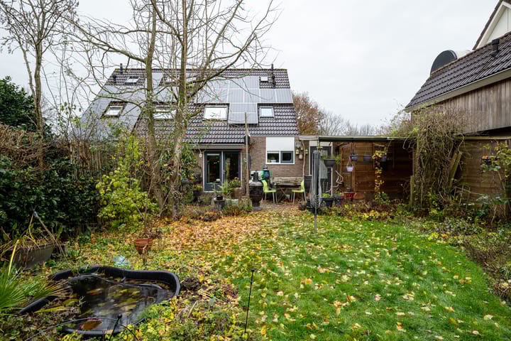 Foto 43 van Boekhors 10