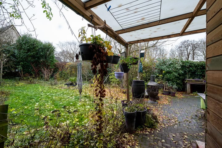 Foto 46 van Boekhors 10