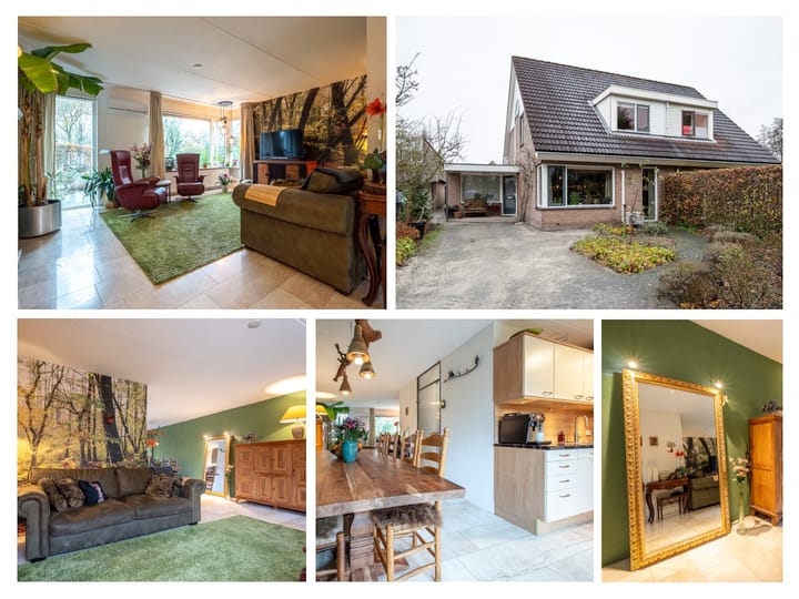 Foto 47 van Boekhors 10