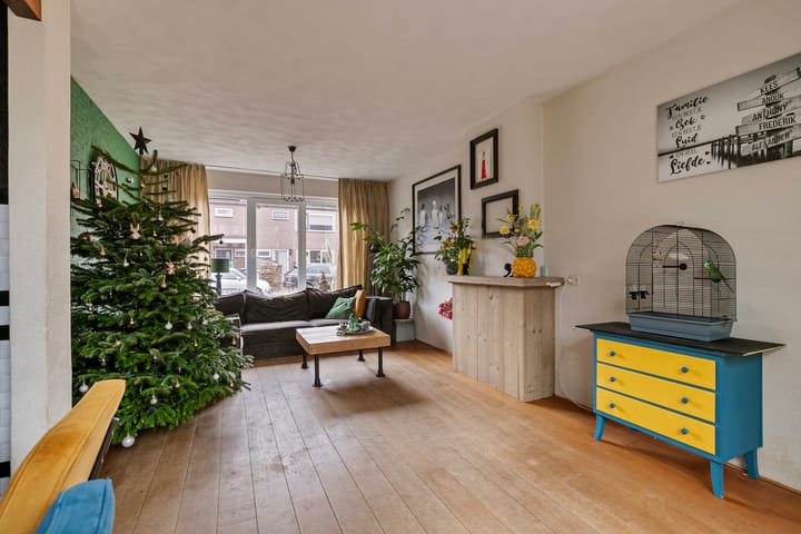 Foto 2 van Johan Willem Frisolaan 4