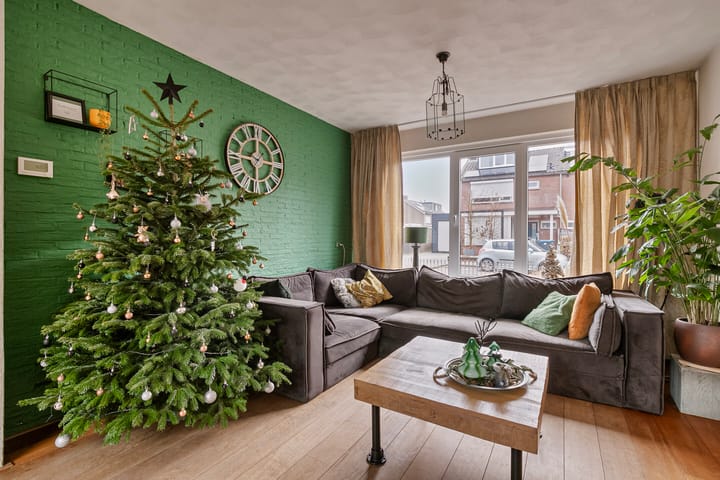 Foto 9 van Johan Willem Frisolaan 4