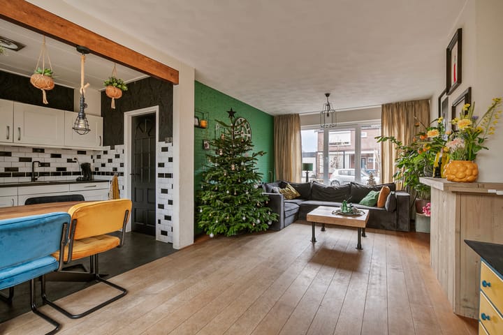 Foto 11 van Johan Willem Frisolaan 4