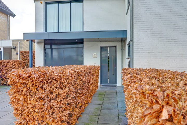 Foto 7 van Brahmsstraat 6