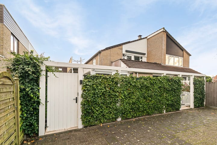 undefined main image