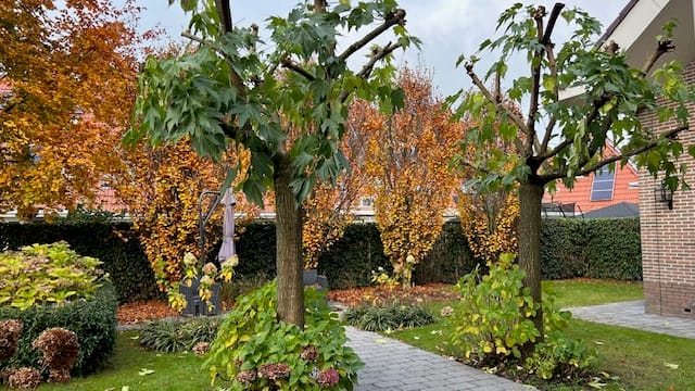 Foto 5 van Boomgaard 22