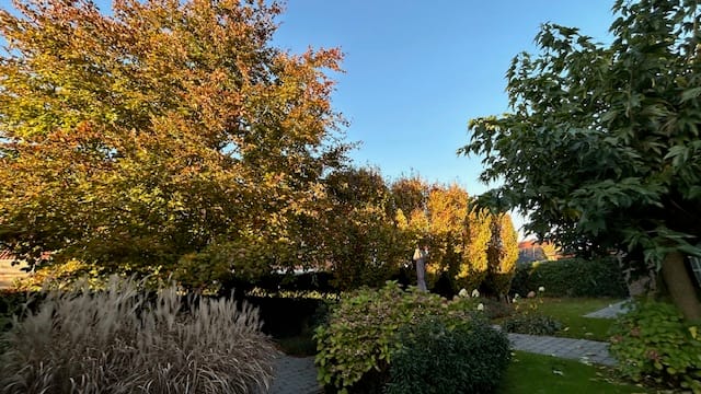 Photo 39 of Boomgaard 22