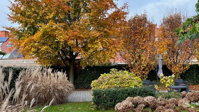 Photo 40 of Boomgaard 22