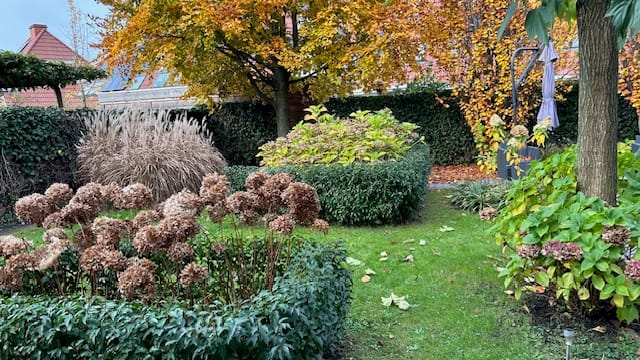 Photo 41 of Boomgaard 22