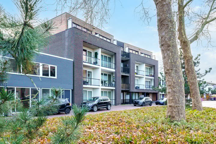 Foto 17 van Meyboomstraat 2-12