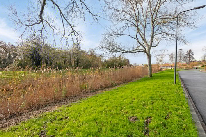 Foto 34 van Iepenrode 16